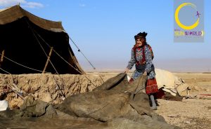 Iranian Nomads