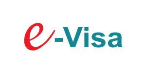 Electronic Visa 