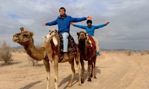 chameau équitation en iran