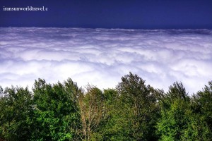 iran forests