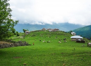 Asalem-Khalkhal-Road