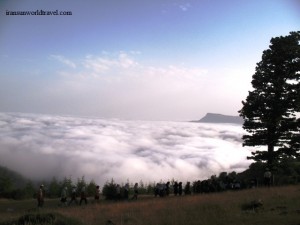 iran beautiful forests