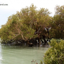 qeshm island