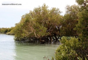 qeshm island