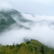 Abr Jungle [Clouds Jungle]-Shahrud-Iran