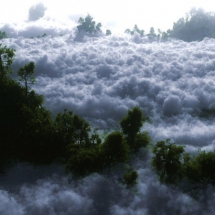 Abr Jungle [Clouds Jungle]-Shahrud-Iran