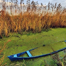 Anzali Lagoon a fantastic attraction-Caspian Sea