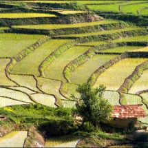 Iran Ecotourism-North of Iran