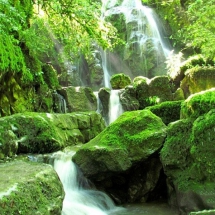 Ecotourism in Iran-Travel to Green Forests-Iran