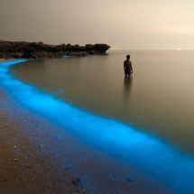 Glowing Beaches of Larak Island, Bioluminescence of tiny dinoflagellates (phytoplanktons)