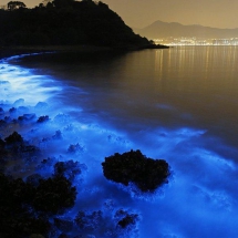 Glowing Beaches of Larak Island- Iran