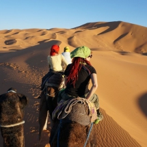 A tour to Maranjab Desert - Kashan - Iran