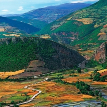 colorful forests of Gillan-Iran