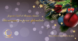 Christmas_french